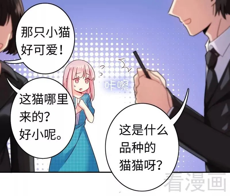 第59话 鉴定书 第3页