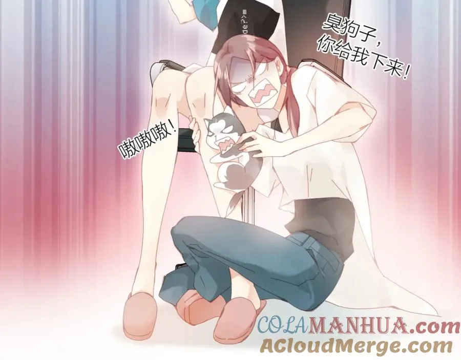 哈士奇狼王子X计算机理工女 第5页