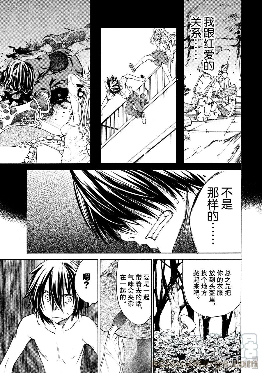 17 仪式 第13页