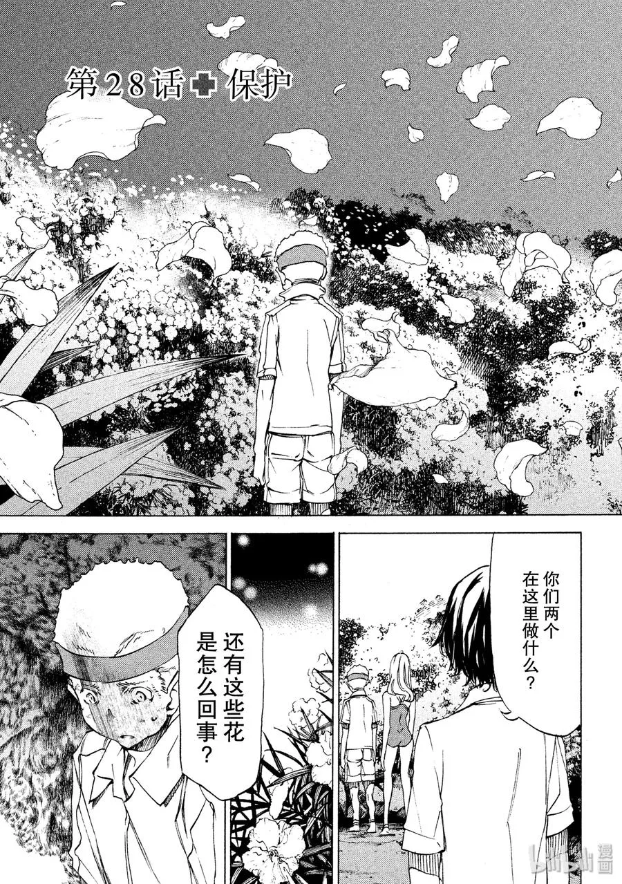 28 保护 第3页