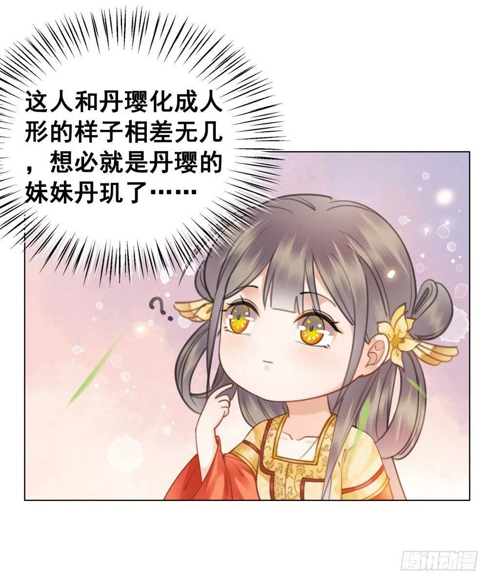 丹碧国秘辛 第54页