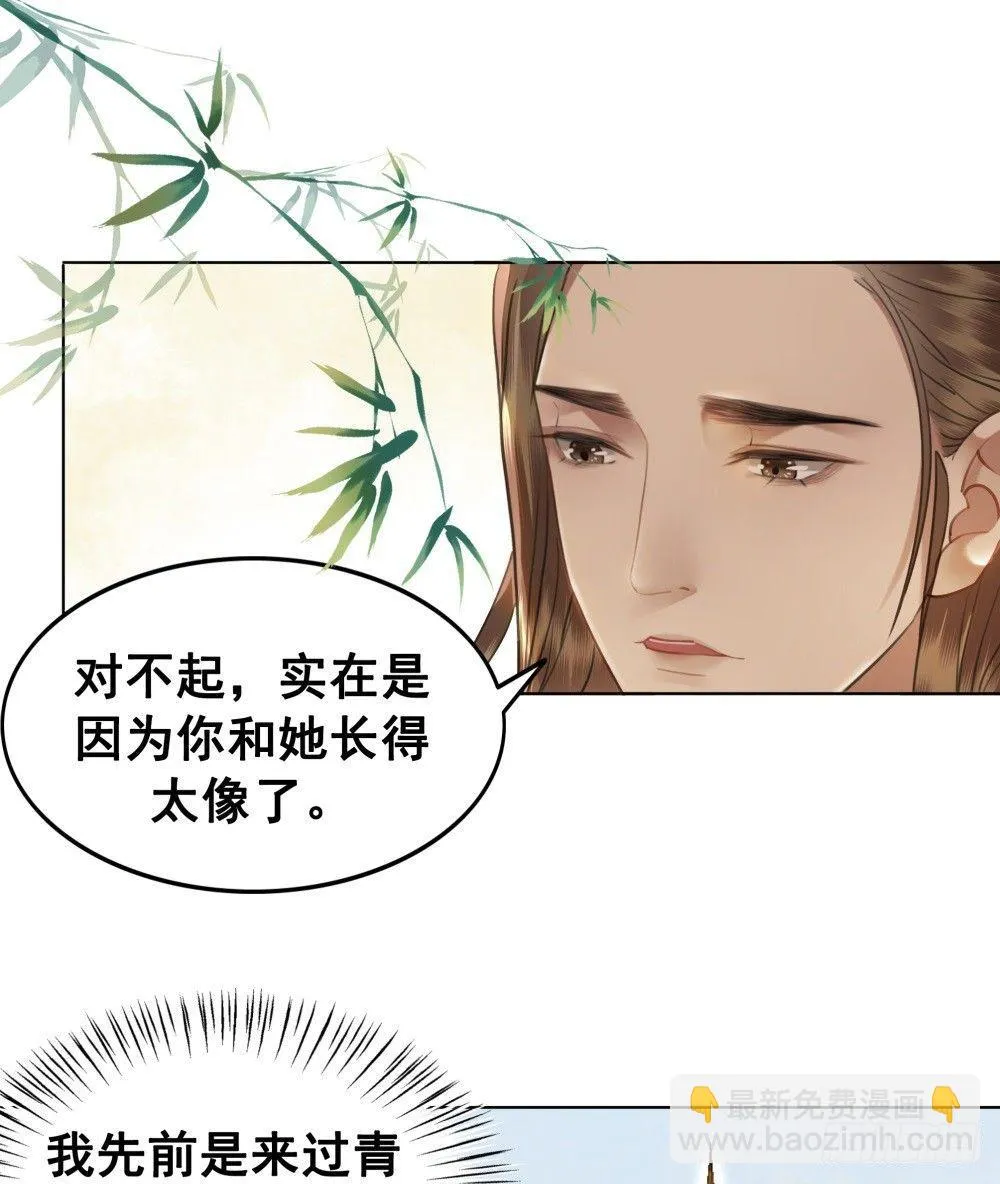 竟有如此相像之人 第37页