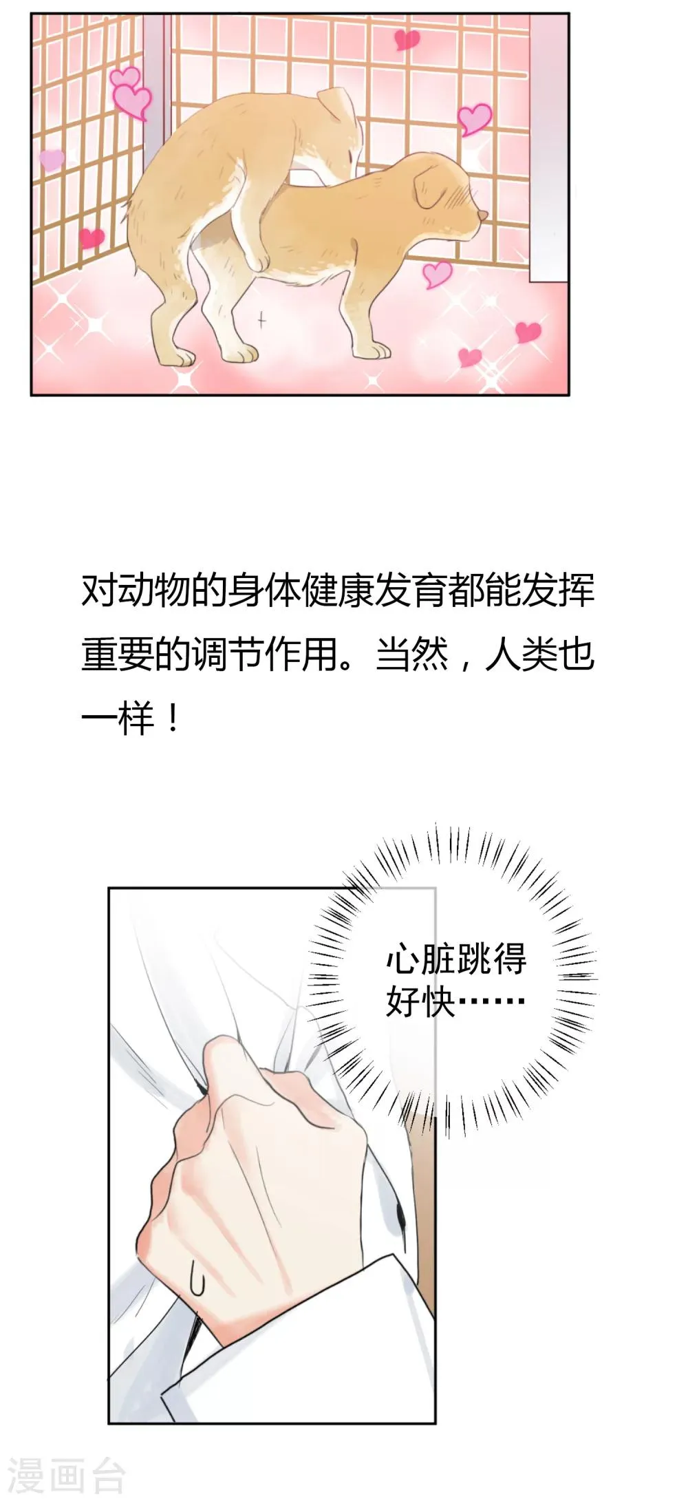 预告 第2页