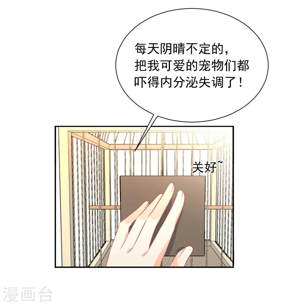 第13话 更年期的总裁 第33页