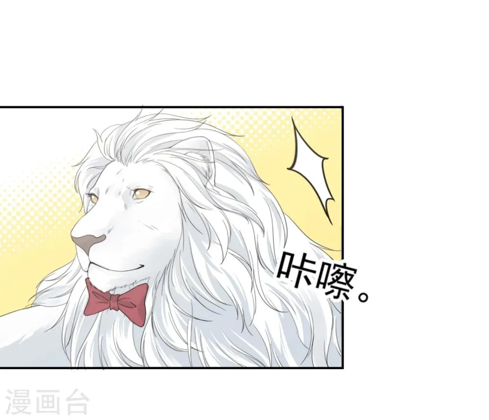 第14话 壁咚你！ 第36页