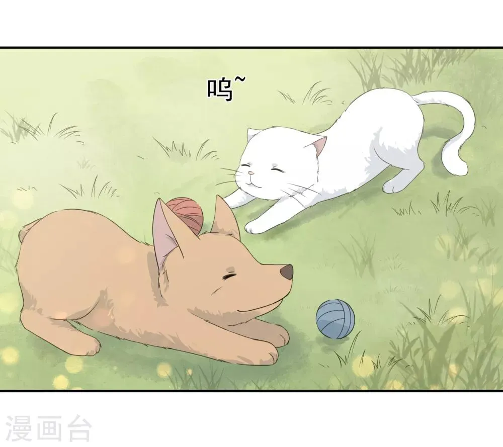 第33话 迷上蠢女人 第3页