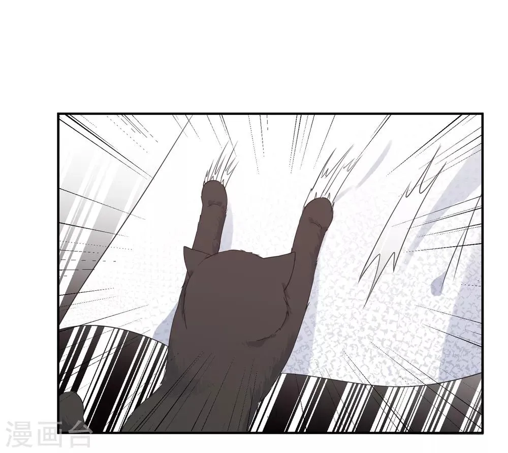 第33话 迷上蠢女人 第11页