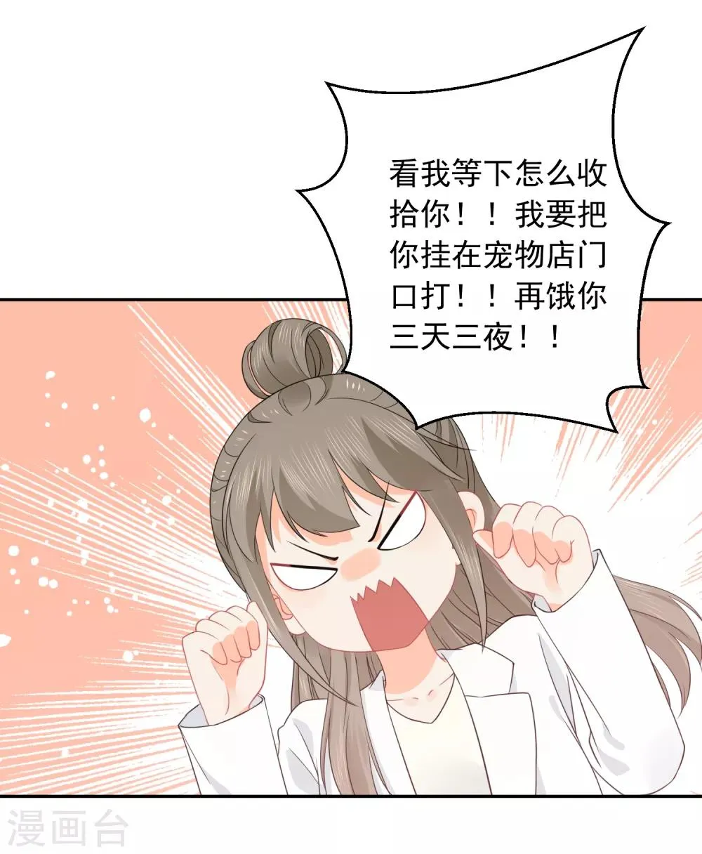 第33话 迷上蠢女人 第12页