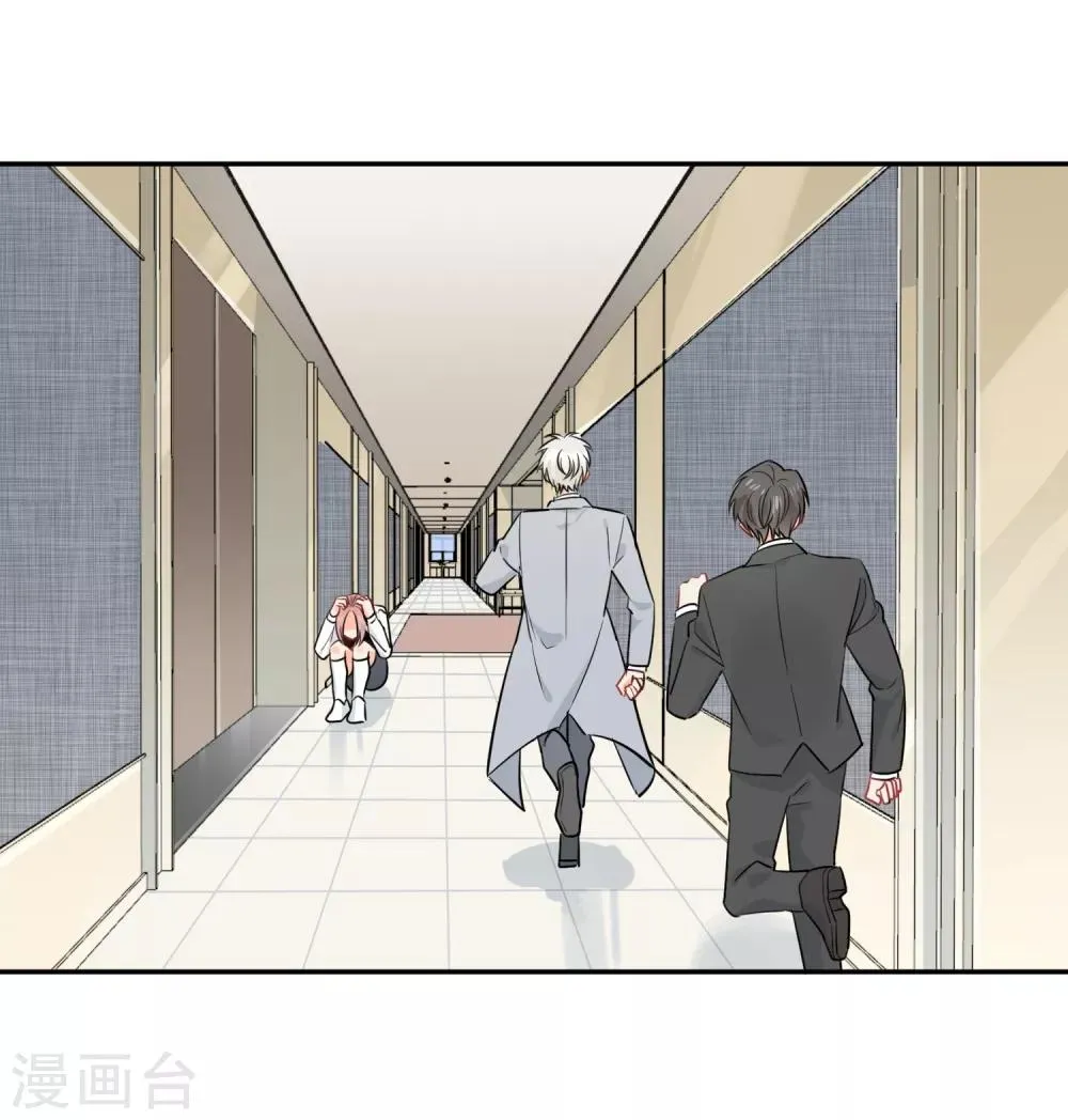 第38话 浪漫定制 第7页