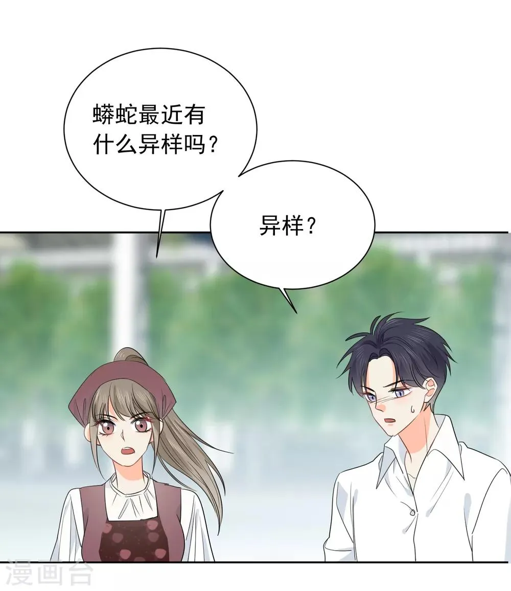 第60话 狂蟒危机2 第10页