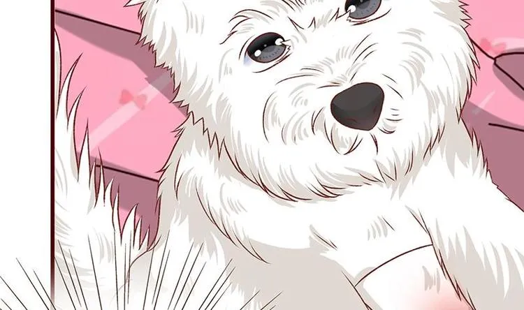 第4话 秘境仙府 第23页
