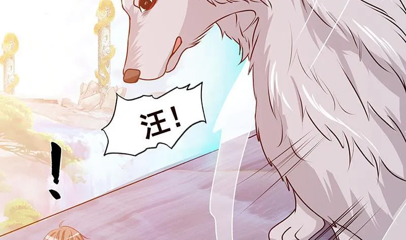 第218话 打人要打脸 第12页