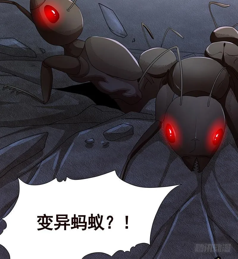 第253话 你是猪吗 第3页