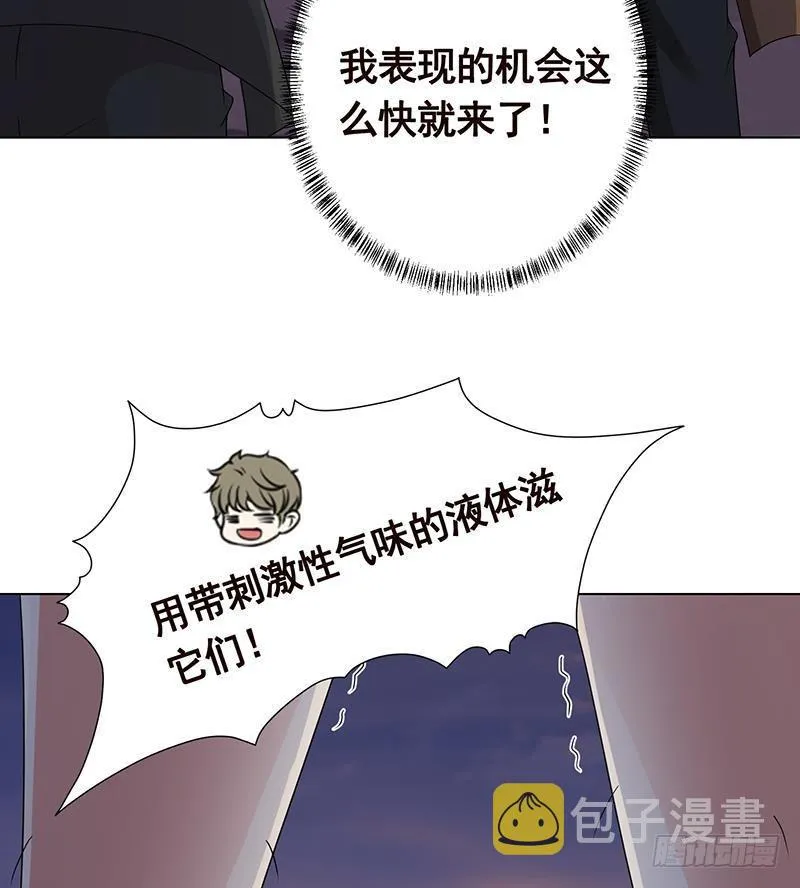 第253话 你是猪吗 第18页
