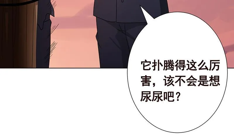 第335话 精神链接 第47页
