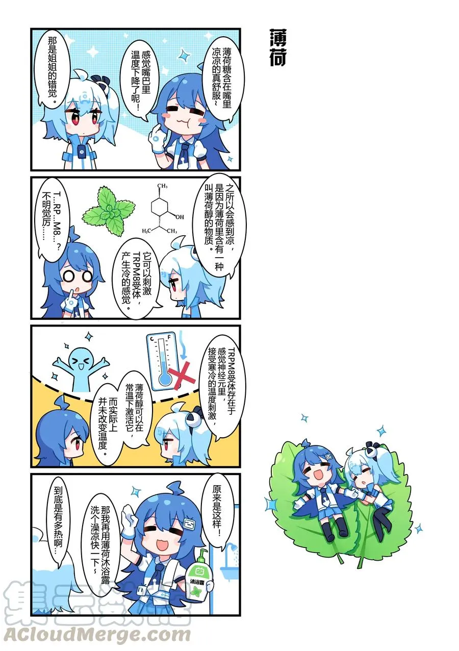 35 薄荷 第1页