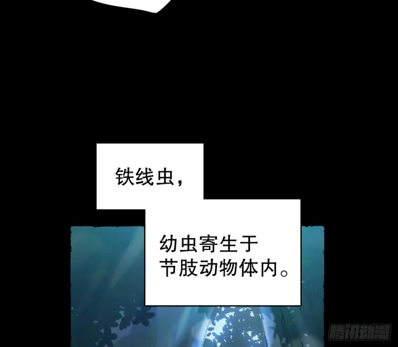 铁线虫 第46页