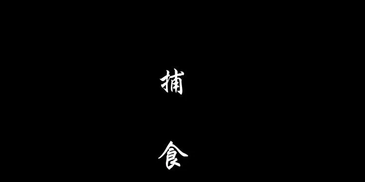 第48话 头上的洞 第48页