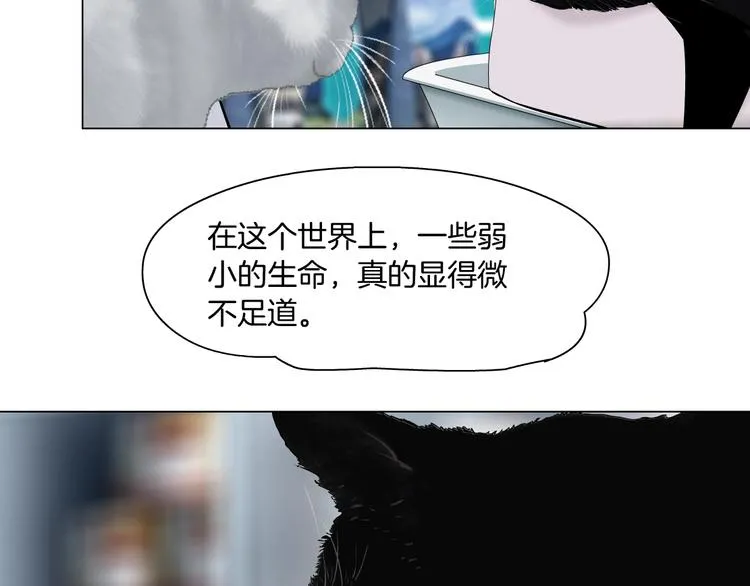 第52话 投缘？ 第67页