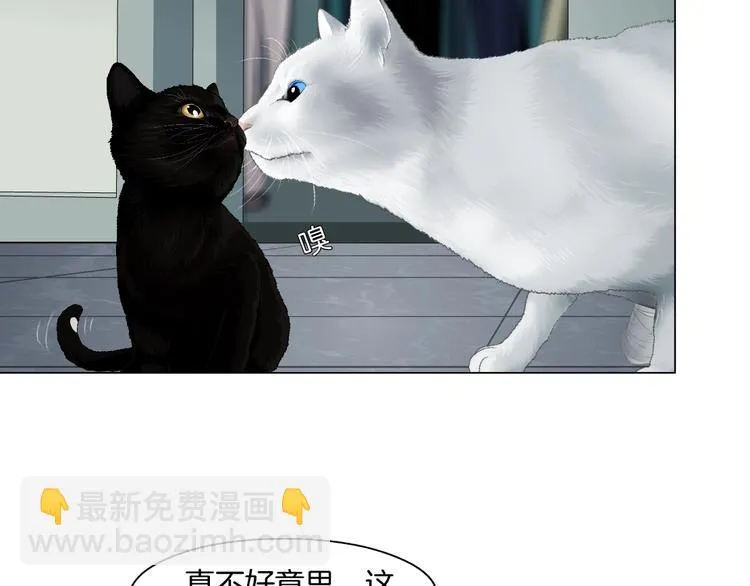 第97话 新宠 第62页
