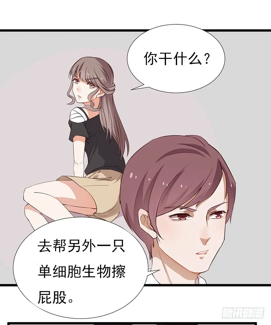002单细胞动物的春天 第31页