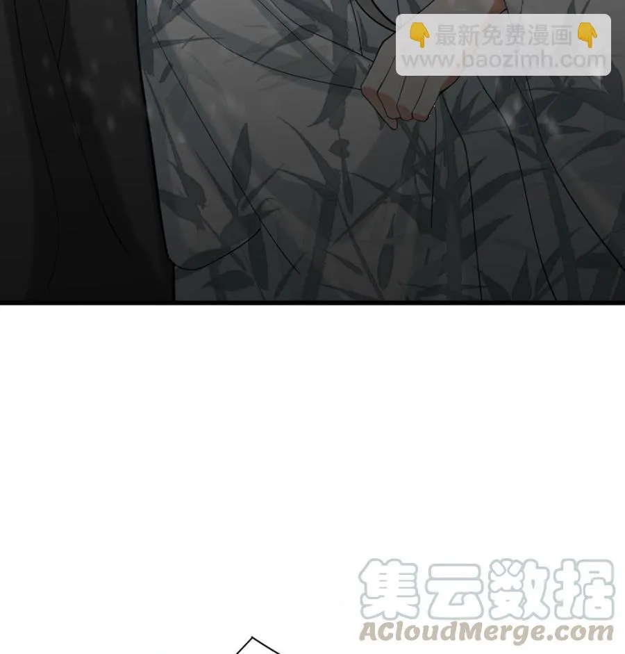 第195话 我绝不会再与容恬分开 第19页