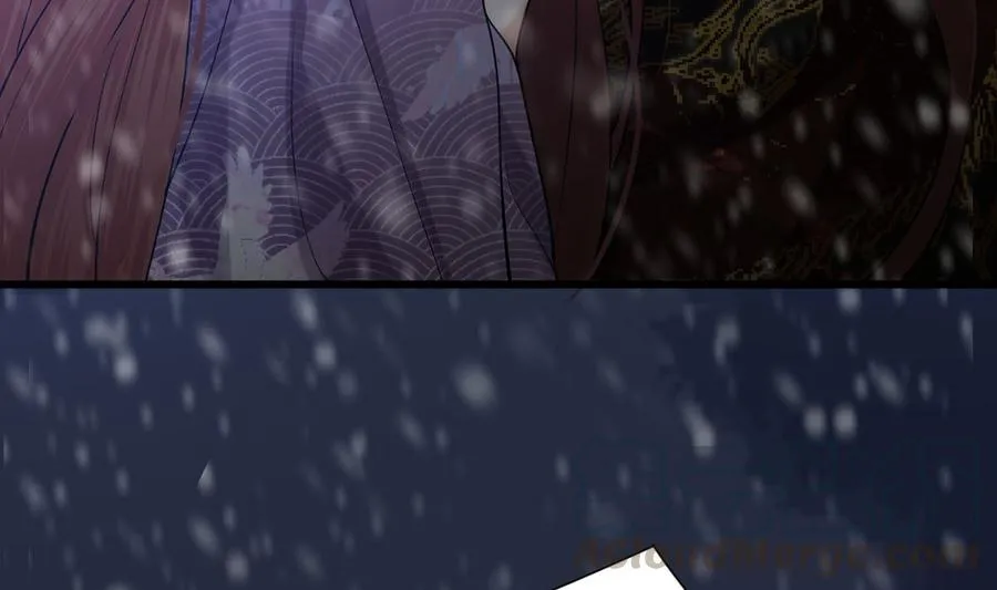 第195话 我绝不会再与容恬分开 第34页