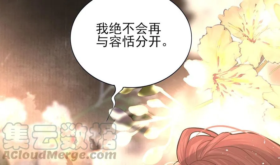 第195话 我绝不会再与容恬分开 第58页