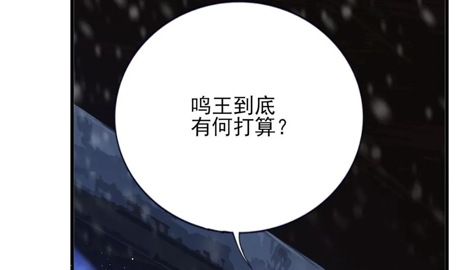 第195话 我绝不会再与容恬分开 第68页