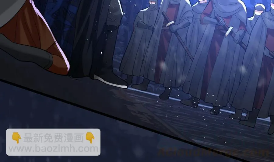 第195话 我绝不会再与容恬分开 第79页