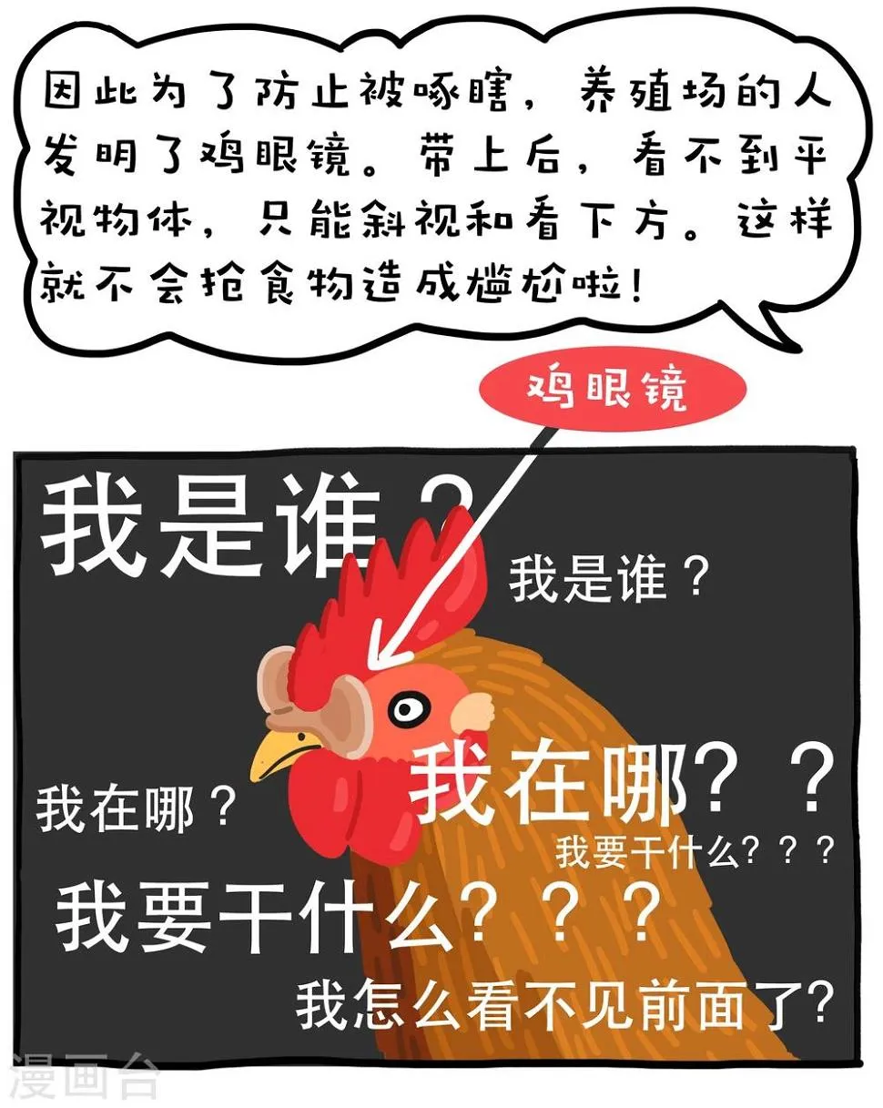 第13话 第26页