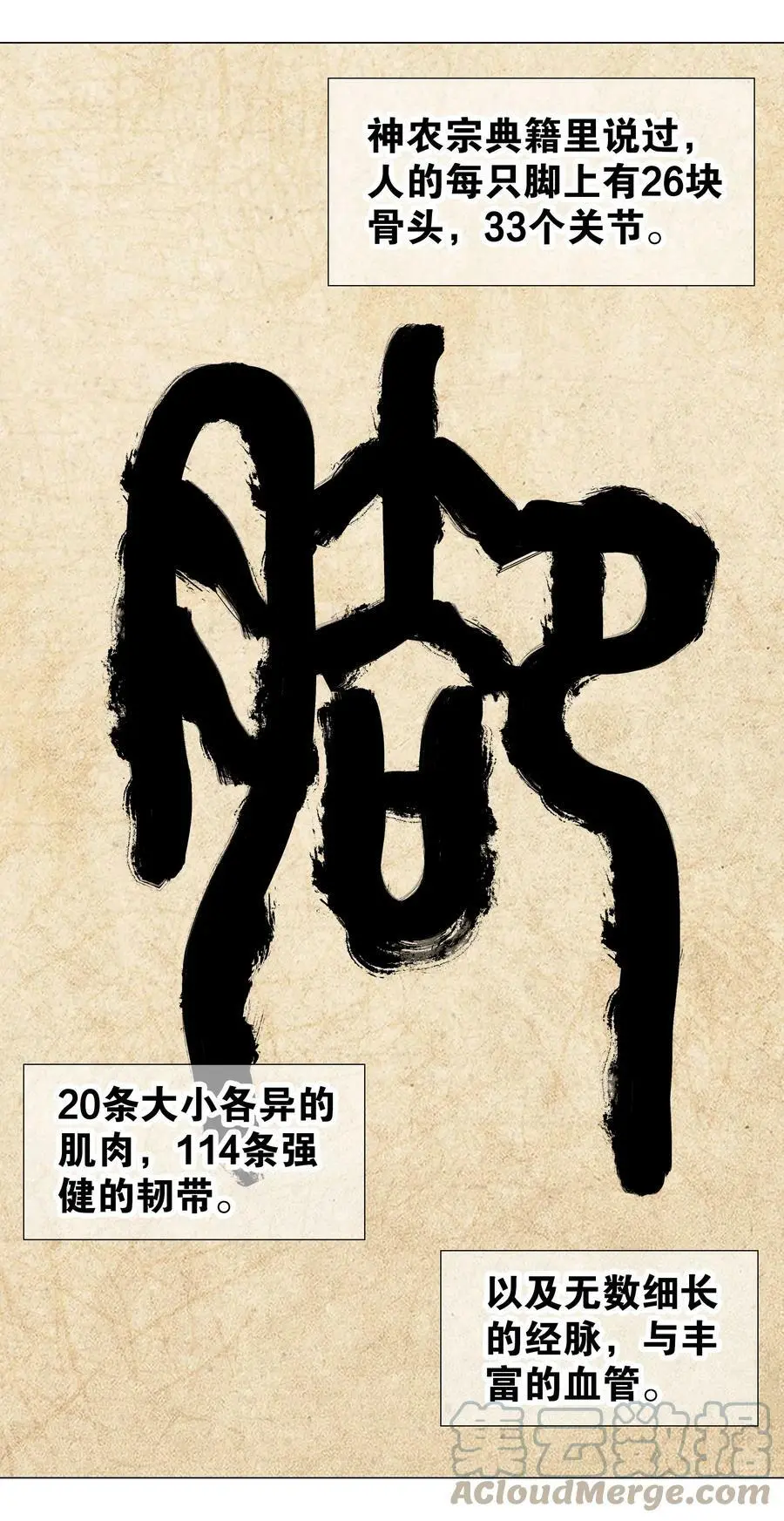 056 纤尘不染足 第65页