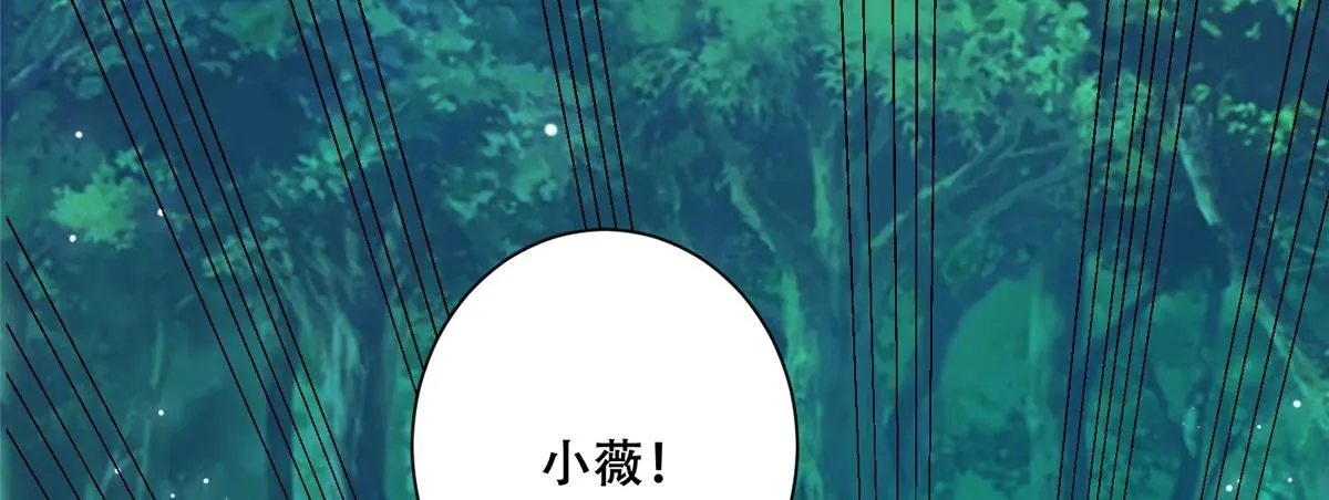 70 凤薇：终究是错付了 第30页