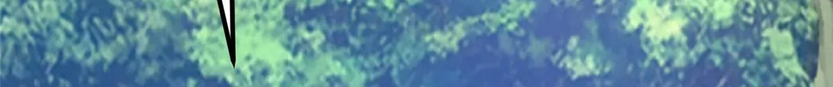 51 斩龙人竟然是他？ 第49页