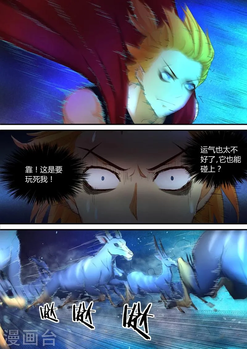 第37话 金角虎 第12页