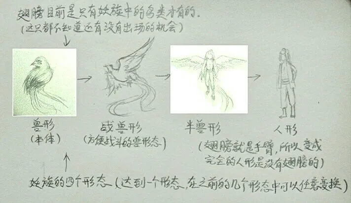 番外·关于翅膀 第4页