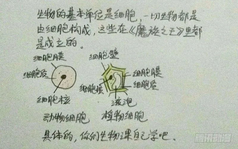 番外·生物课 第2页