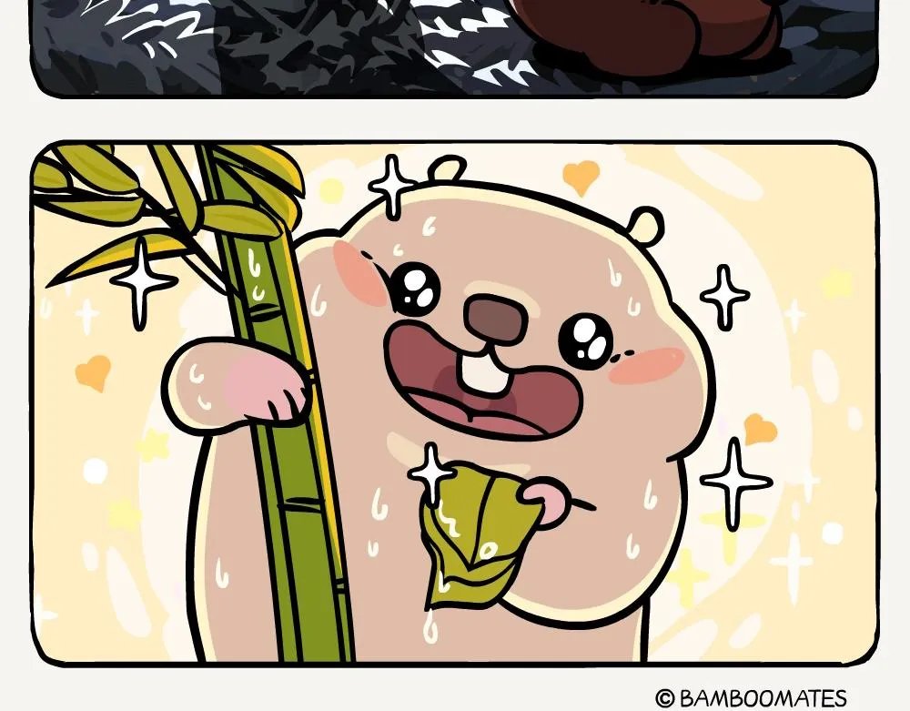 第52话 栎疣柄牛肝菌 第5页