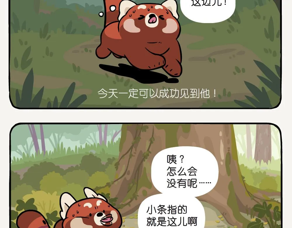 第52话 栎疣柄牛肝菌 第12页