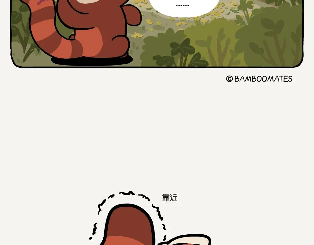 第52话 栎疣柄牛肝菌 第13页