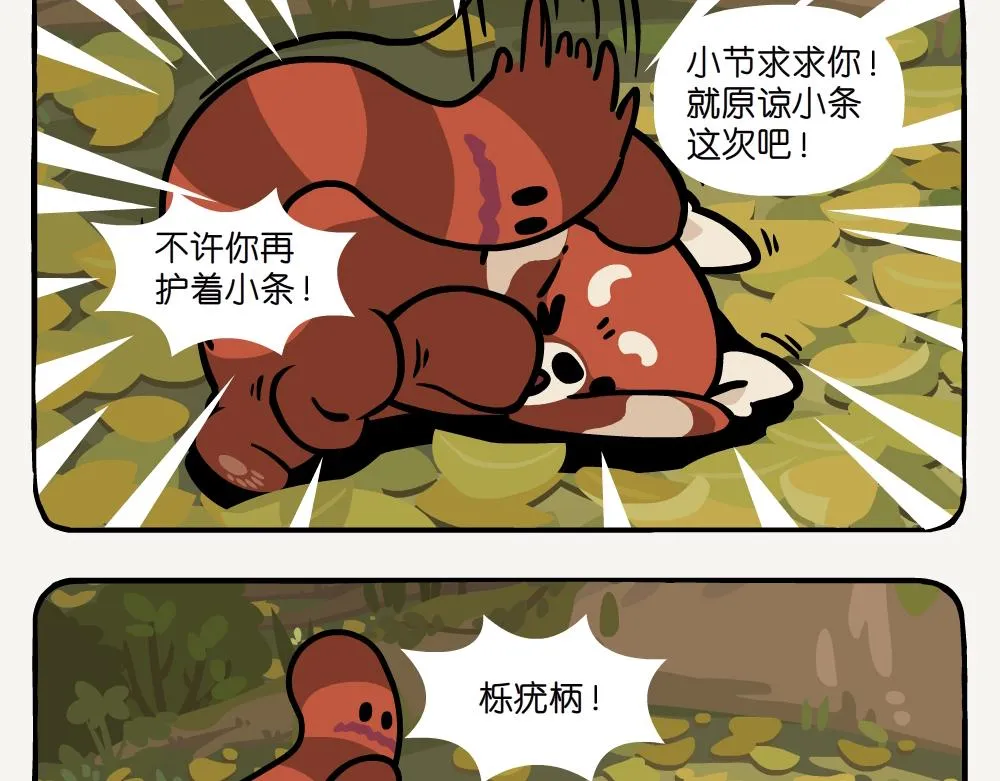 第52话 栎疣柄牛肝菌 第17页