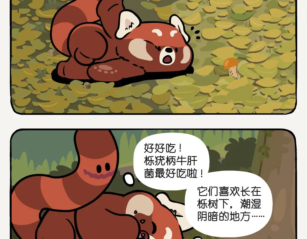 第52话 栎疣柄牛肝菌 第18页