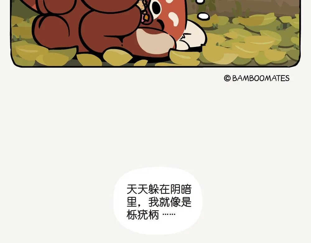 第52话 栎疣柄牛肝菌 第19页