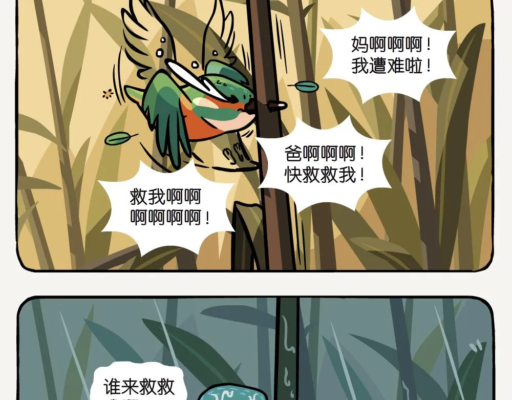 第25话 普通翠鸟 第22页