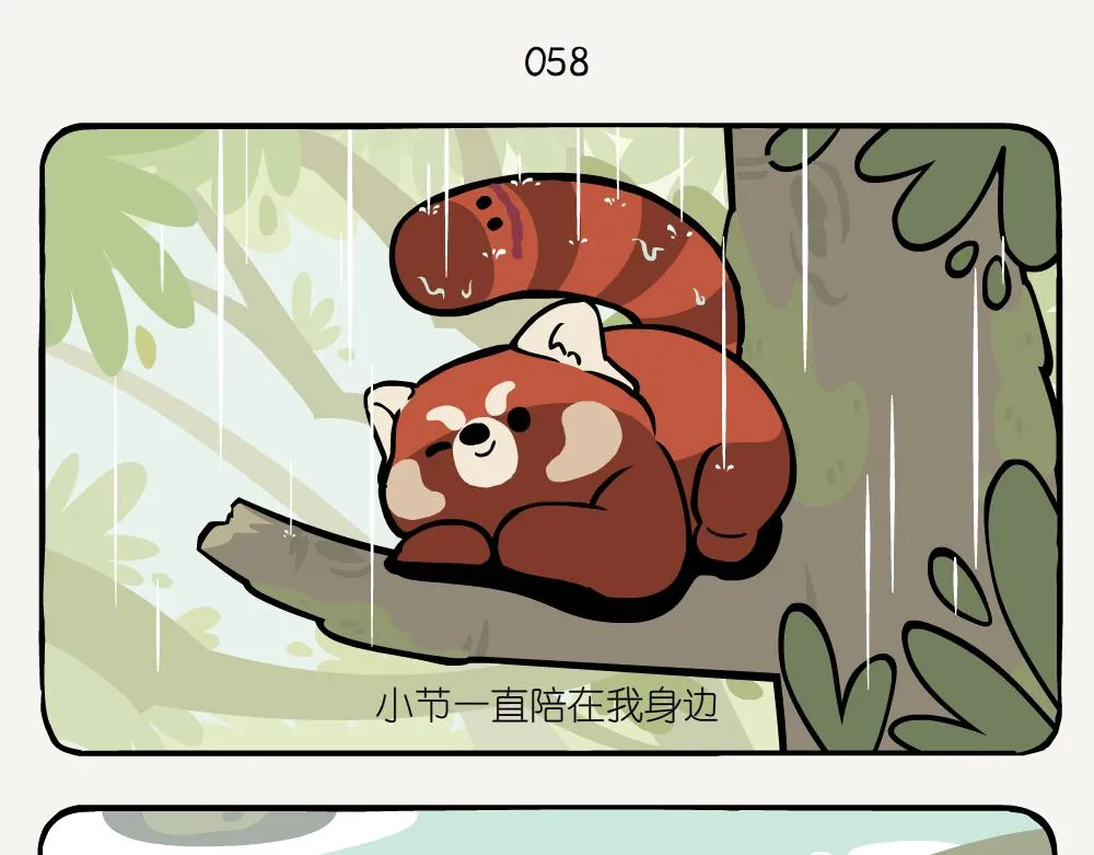第19话 小熊猫 第8页