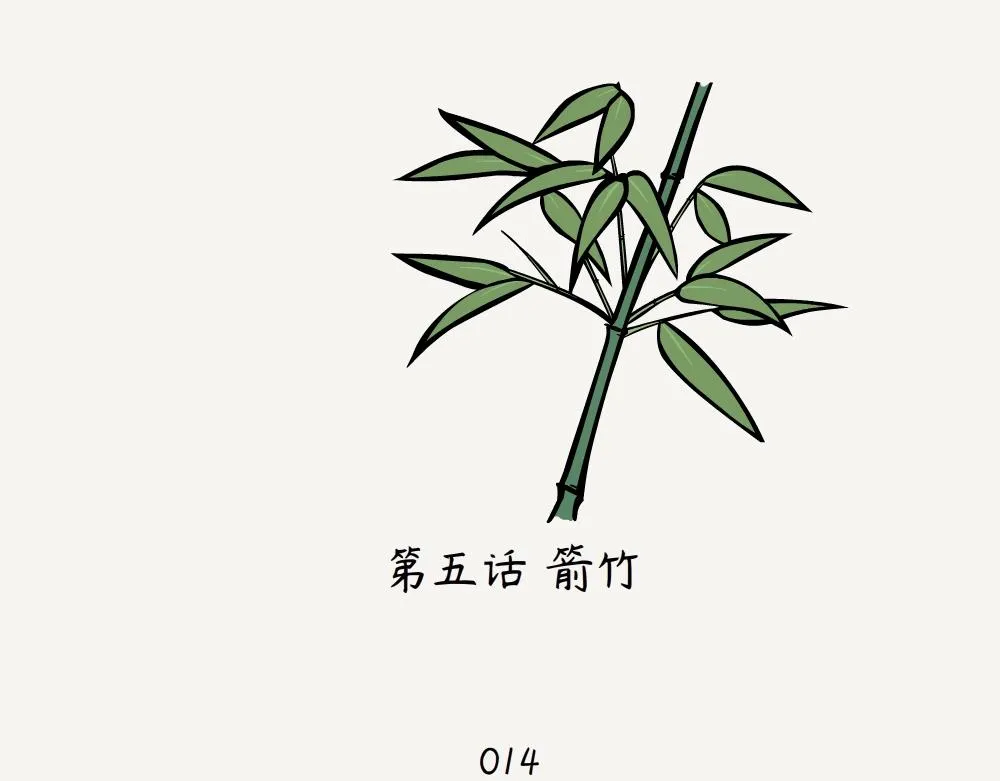 第5话 箭竹 第2页