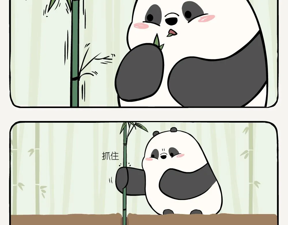 第5话 箭竹 第10页