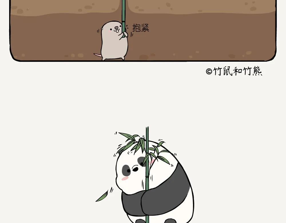 第5话 箭竹 第11页