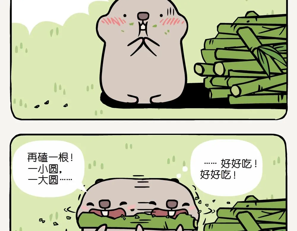 第6话 中华竹鼠 第4页
