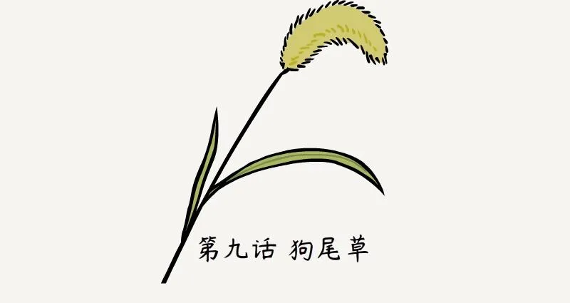 第9话 狗尾草 第2页